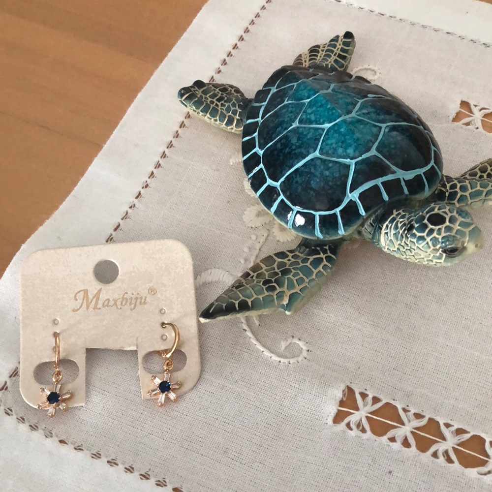 Brand new earrings
